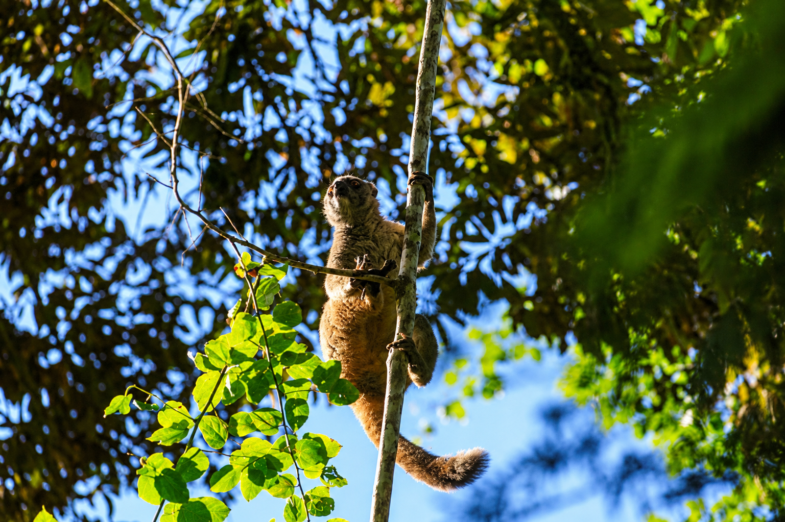 Madagascar trip